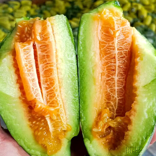 Farmer's Son, Rock Sugar Prince Small Melon Seeds, Rock Sugar Seeds, Hybrid Seeds, Southern Honeydew Melon Seeds, Boyang No. 9 Melon Seeds, 500 capsules/bag