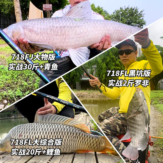 本汀（BenTing） King-BTR718天弧斩月刀钓鱼竿超轻超硬综合台钓鱼竿手竿碳素19调 3.6m 718FL （大综合）28调 KING-BTR718