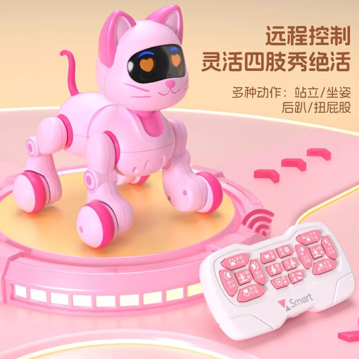 Children's Toy Doraemon Little Girl 3-6-10 Years Old Birthday Gift 5-8-12 Remote Control Car 7-14 Years Old 20c Bionic Mechanical Cat