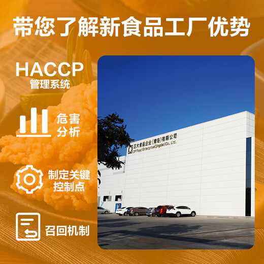 CP Zhengda Food White Feather Chicken Salt Crispy Chicken Net Weight 2Jin Jin is equal to 0.5 kg Fried Salt Crispy Chicken Fried Chicken Nuggets Chicken Popsicles Fried Chicken