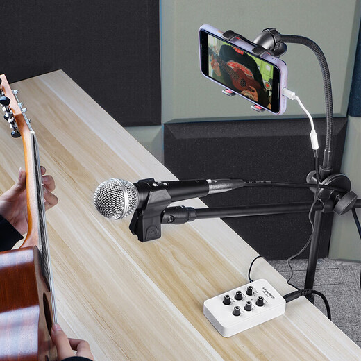 SACCVH musical instrument accessories, playing and singing audio, home indoor stand microphone, SACCVH speaker special stand, suitable for S5/S6PRO/S8