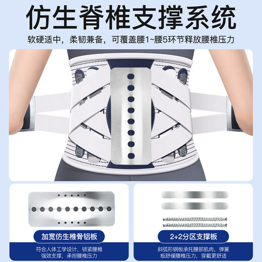 PROPARD medical support belt, lumbar disc strain, lumbar disc herniation, psoas muscle pain, men and women, waist circumference, waist support, waist corset LY93 to relieve pain | steel plate support, L size 2 feet ~ 2 feet 5, suitable for 100 ~ 140 Jin Jin equals 0.5 kg
