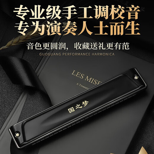 Guoguang Guo Dream Professional spielen harmonische 24-Loch-Polyphonische #A/B/C/D/E/F/G-Anpassung Adult High-End-Wettbewerb Harmonischer 24-Loch-#D (E-Floating) Polyphonischer Schwarz [Leistungsniveau]