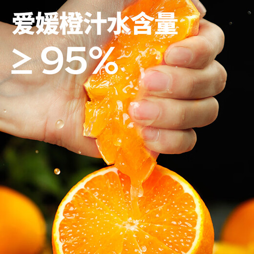 
Uncle Sam Sichuan Ehime No. 38 Jelly Orange Seasonal Fruit Citrus Rock Sugar Orange Orange Ugly Orange Gift Box New Year's Gift [Sweet-Tribute Fruit] 20-Year-Old Tree | Single Fruit 75-80mm 5Jin [Jin equals 0.5kg] Gift Box [Gift Recommendation] Net 4.5Jin [Jin equals 0.5kg]