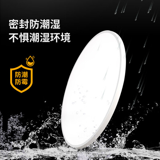 SUOYADA LED induction light stair light ceiling light aisle corridor corridor infrared human body automatic induction radar sound control light sound and light control induction light 18 watts 23cm white edge