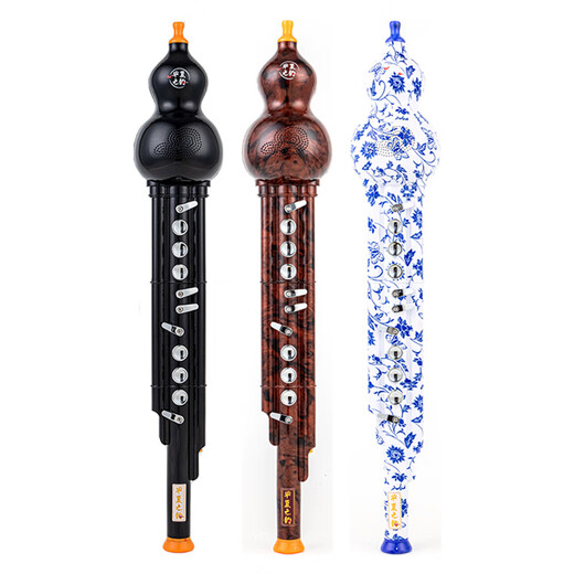 Instrumentos musicales domésticos de seda eléctrica de la rima de China Pipada electrónica Hulusi Flute Electric Electric Saxophon Instrumento musical para principiantes y porcelana blanca