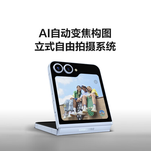 三星Galaxy Z Flip6 国家补贴 AI手机 折叠屏手机 大视野智能外屏 骁龙8 Gen3 双卡 12GB+256GB 星夜银