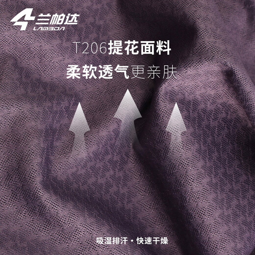兰帕达【特价福利】骑行服男款短袖上衣专业公路自行车骑行装备 云霞男款短袖（灰紫色） XL