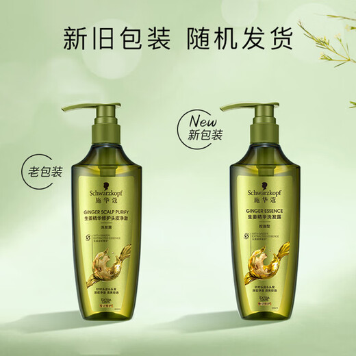 Schwarzkopf Ginger Essence Shampoo Oil Control Type 400ml [Expiration Clearance]