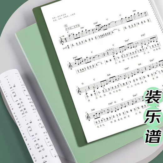 递乐资料册多层A4插页档案夹乐谱收纳盒分类试卷夹孕检资料夹文件袋 12140 A4/30页资料册 墨绿
