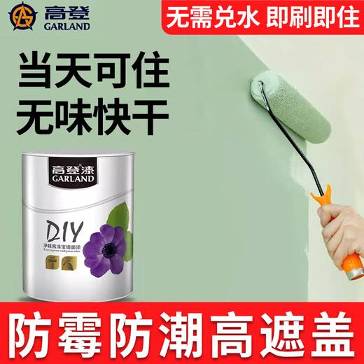 Gordon Interior Mur Latex Paint Réparation de peinture de réparation de paroi intérieure du ménage intérieur Reméliez de peinture de peinture colorée