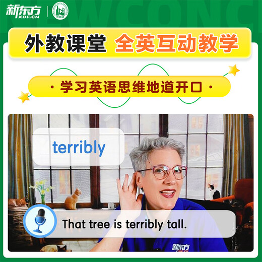 新东方新概念教材1、2英语系统网课中教+外教+ai 视频课录播课零基础入门自学 【送语法课+1年伴学营】新概念1+8本练习册