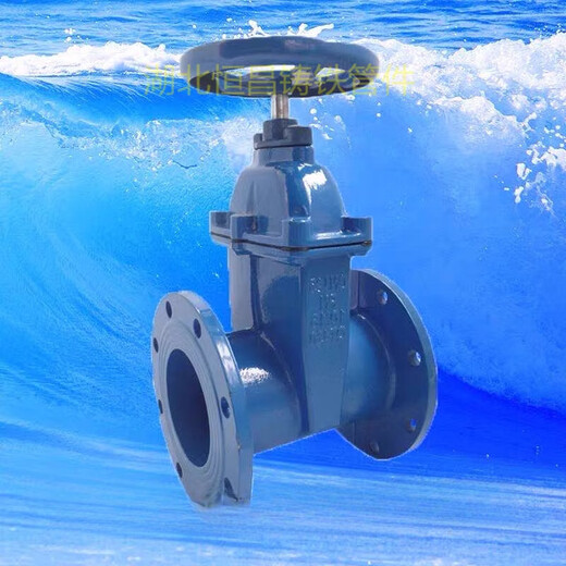 Factory direct sales ductile iron soft seal flange gate valve DN50-DN600 water supply flange valve fittings DN250