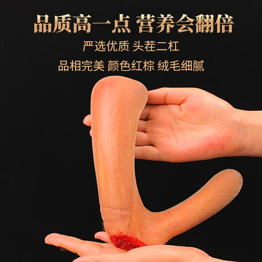 [New antler of the season] Yongcheng brand fresh sika deer antler pruned and can be sliced ​​2023 freshly cut high-quality first-crop two-bar blood soaked wine with Chinese herbal medicine gift box [100g] cut into the middle section of deer antler with knife