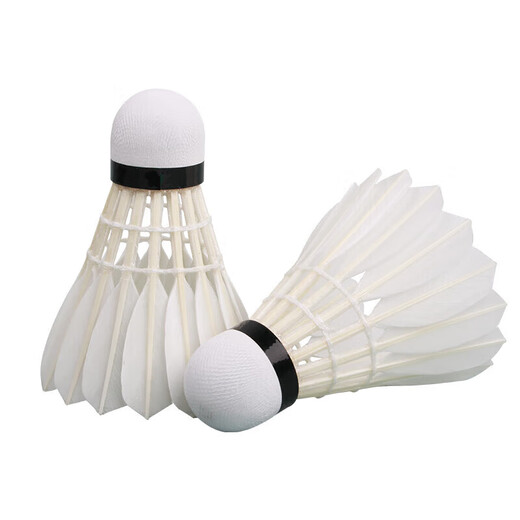 亚狮龙（RSL）羽毛球训练比赛稳定耐打RSL-A6球77速12只/桶