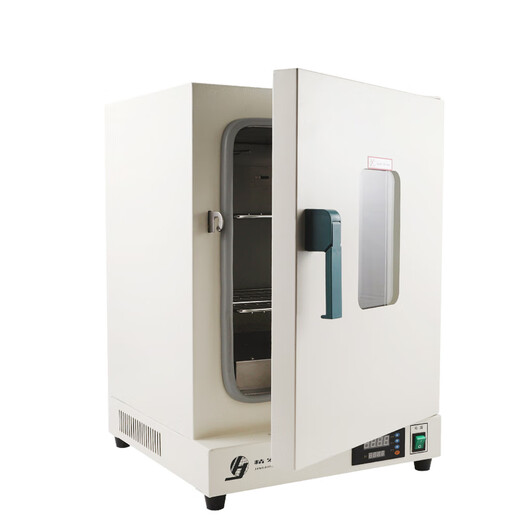 
Jinghong Electric Heating Constant Temperature Blowing Dry Hot Air Oven DHG-9030A Industrial High Temperature High Temperature Stainless Steel DHG-9923A