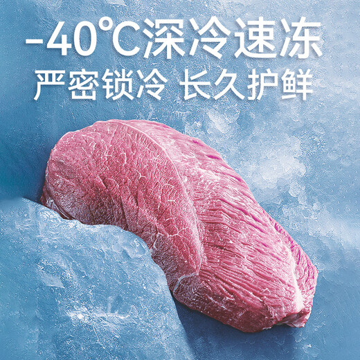
Sui Ling Freezer Commercial Freezer Ultra-low Temperature Freezer-40/-60 Horizontal Quick Freezer Tuna Frozen Commercial Freezer Seafood Refrigerator Horizontal Freezer New Product [-40 Level 1 Energy Efficiency 753L]BD-828DW