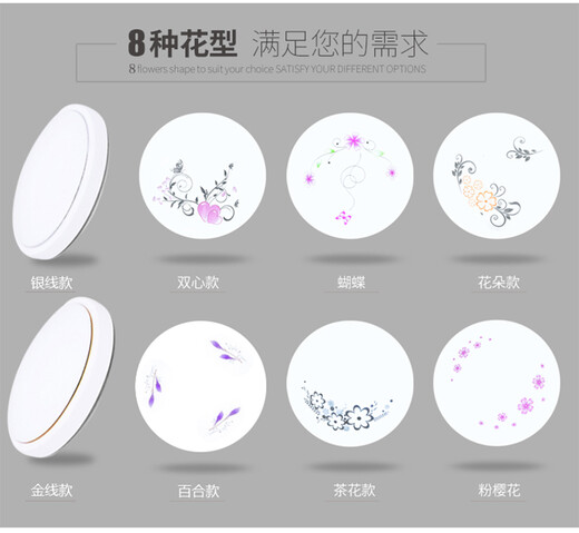 雷雷智光 LED雷达自动感应声光控吸顶灯家用过道楼道玄关车库用 人体感应灯 白色 21CM12w人体感应