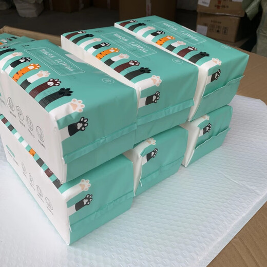 Selected Disposable Face Towels Thickened Removable Face Towels Towels Soft Towels Roll Mother and Baby Home 20*20 2 Packs Total 440g