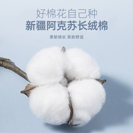 La camisa de lavado de algodón de manga de manga corta de Youngor, la tela de lavado de algodón para hombres, es delicada, suave y fácil de cuidar de nuevos productos GSXX104989HFY AZUL 41