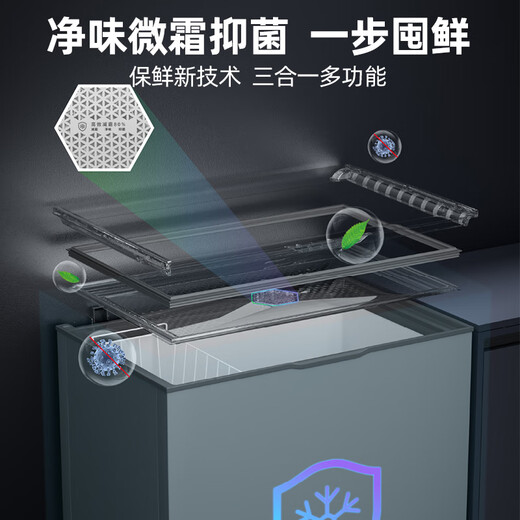 Xingx (XINGX) 200L single temperature household small freezer large capacity frost reduction preservation fresh taste energy saving first class energy efficiency refrigerator refrigeration and freezing dual-use freezer BD/BC-200KE national subsidy