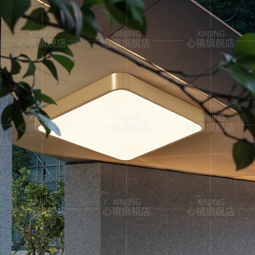 心镜全铜户外吸顶灯别墅超薄入户门灯走廊过道阳台灯露台防蚊虫庭院灯 X3893-400/方形