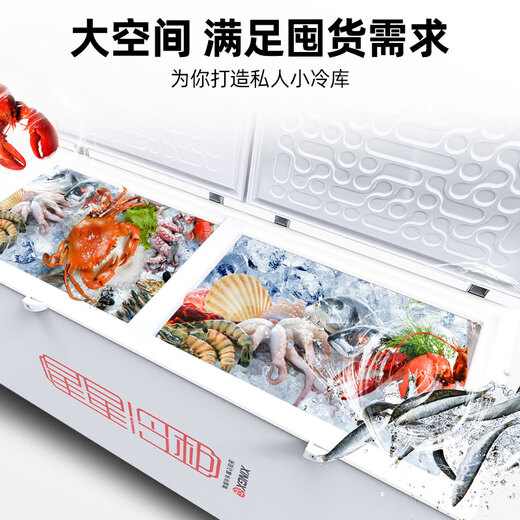 Xingxing (Xingx) Freezer 518 congélateur commercial Réfrigération de réfrigération de grande capacité Réfrigération horizontale à température à température à température fraîche Freinteur de gardien de fraîche