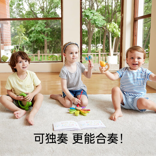 Hape德国儿童早教玩具音乐启蒙五合一自然交响乐套装宝宝礼物 五合一自然交响乐套装【E0639】
