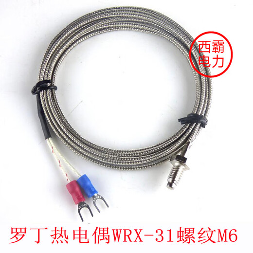 K type E type Roding thermocouple WRX-31 screw M6 type temperature sensor wire length 1M2M3M10 Zhongtian instrument K type/M6 metric fine thread/2 meters