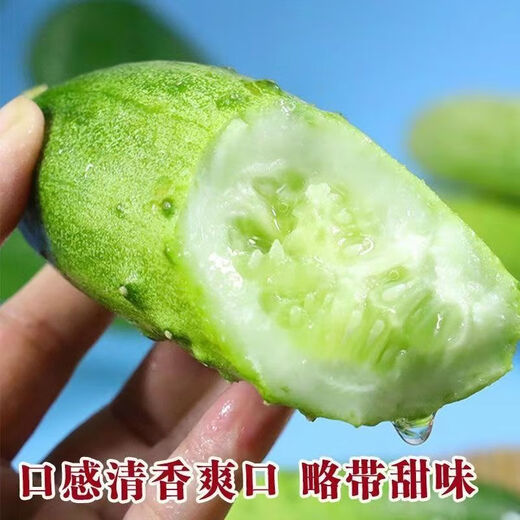 No scaffolding, fruit cucumber seeds crawling all over the floor, four-season courtyard balcony potted cucumber seeds, vegetable seeds, original, fruit cucumber seeds crawling all over the floor, selected, one pack, about 55 grains + Song fertilizer