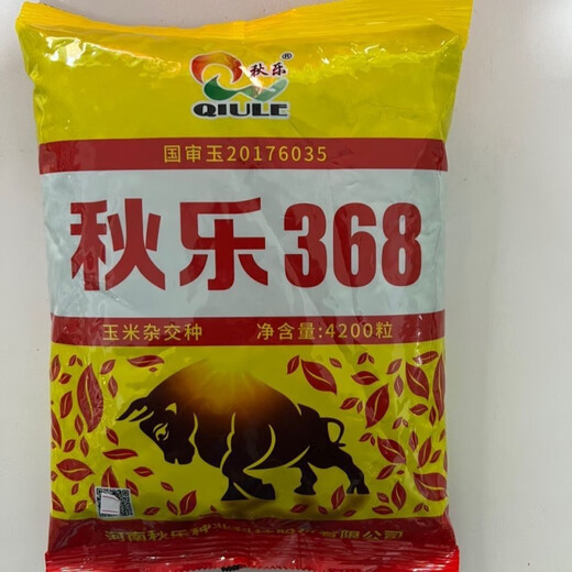 Qiule 368 corn seed wholesale lodging resistant, drought resistant and disease resistant red shaft big stick Damaya National Approval 4200 grains Tongyu 609/1kg