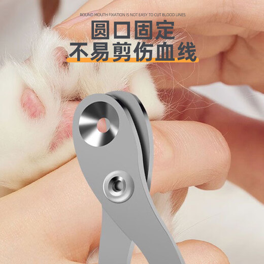 HOUYA pet cleaning 4-piece set of cat gloves, cat and dog cleaning hair comb, knot combing, cat nail clipping, cat supplies