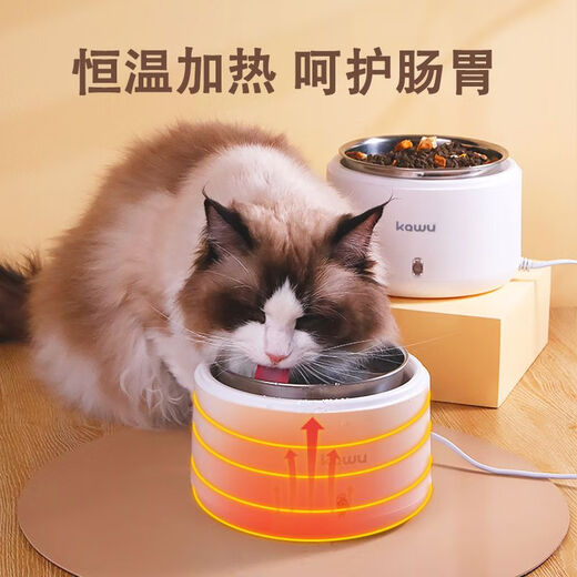 OIMG酸奶机猫咪喝水:家用小型宠物恒温饮水机:多功能加热DIY20w 恒温款 水泵 接水盘