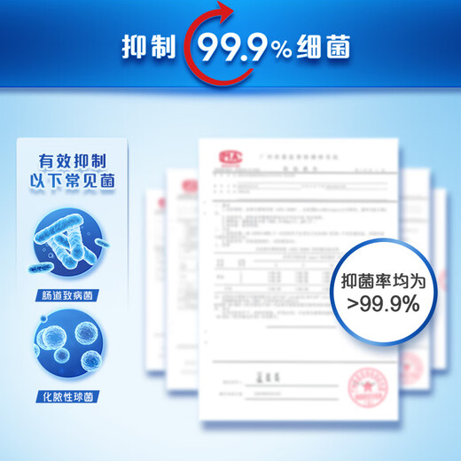 Safeguard Antibacterial Foam Hand Sanitizer White Tea Fragrance 300g Healthy Antibacterial 99.9% Fine Foam