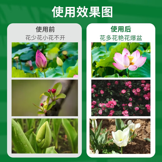 Sowing Mood Plant Universal Concentrated Nutrient Solution Hydroponic Family Planting Flowers and Vegetables Vegetables Flowers Succulent Green Plant Special Fertilizer Plant Universal Nutrient Solution 1 Bottle 500ml No Specifications