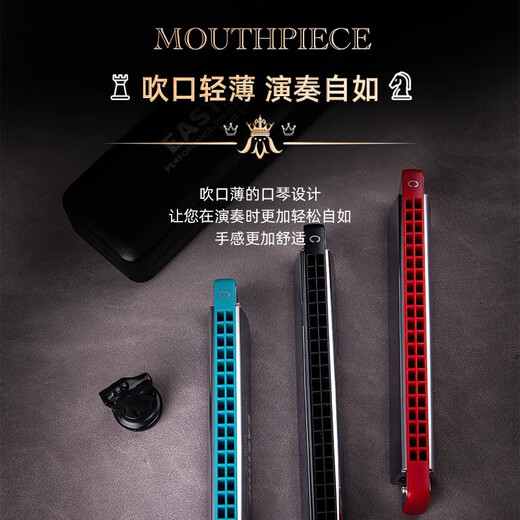 
EAST TOP 24-hole embedded polyphonic professional harmonica T2402 2.0 black lattice