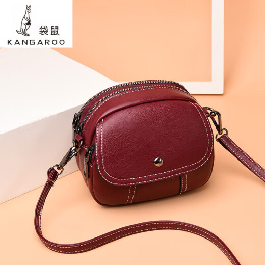 袋鼠（KANGAROO）小包包女2024新款潮秋季上新简约单肩斜挎包时尚百搭多层软皮女包 黑色