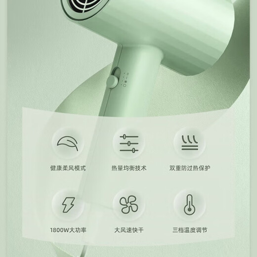 飞科吹风机家用负离子护发大风力学生用电风筒20000转吹风筒宿舍店铺 清野绿1800w-FH6296