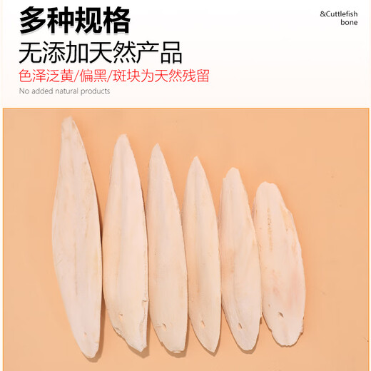 Hueso de sepia especial para loros, periquitos peonías, palitos de dentición para masticar, juguetes interactivos, snacks y suministros, pieza única de hueso de sepia de 1517 CM + clip