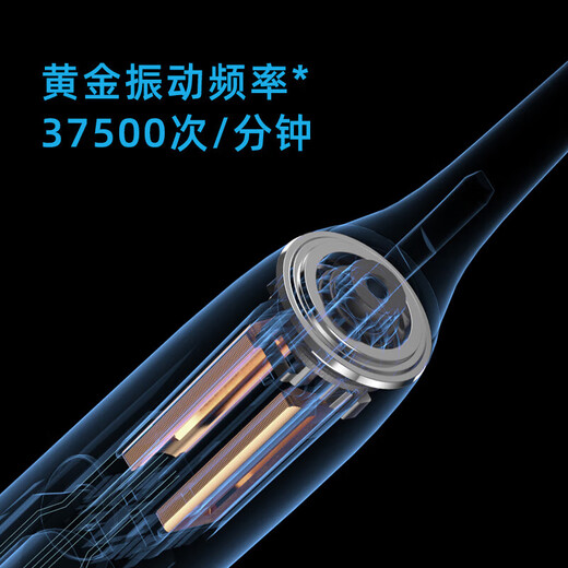 FLYCO electric toothbrush for men and women at home, fully automatic sonic vibration wireless charging couple toothbrush, holiday gift FT7105 deep sea blue with 4 brush heads