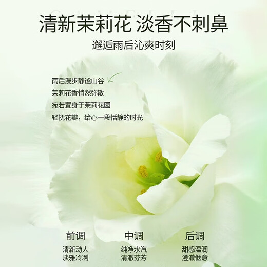 Qise Jasmine Vitamin E Hand Cream Moisturizing and Moisturizing Dry, Rough, Cracked Hand Care for Men and Women Large Capacity 300g*2 Bottles Jasmine Vitamin E Hand Cream