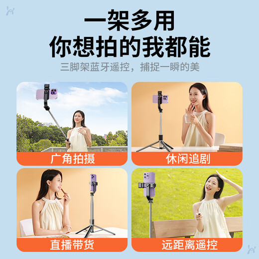 Li Hai [Vertrieb Nr. 1] Selfie Stick Tripod Mobiltelefon Stand Selfie Artefact Landing Travel Tragbare mehrfunktion
