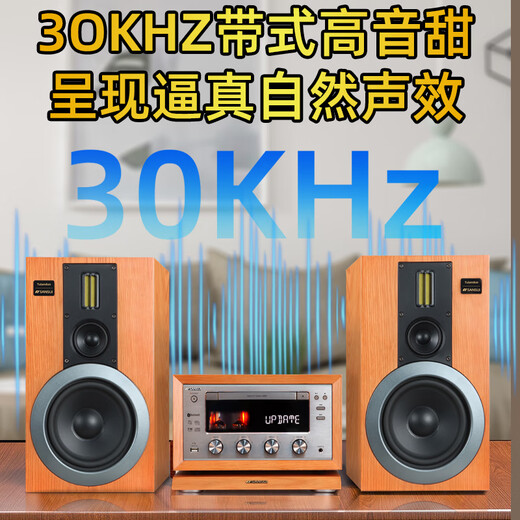 山水（SANSUI） M2胆机CD/DVD组合音响桌面音响电子管功放发烧蓝牙HIFI高品质无损音箱 山水M980 HiFi高保真胆机+木架