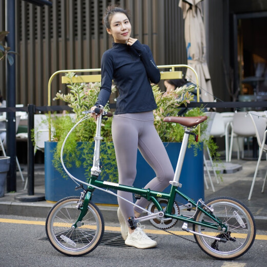 大行（DAHON）D5折叠自行车16英寸5速复古男女式城市户外休闲便携自行车HAC653 邮政绿