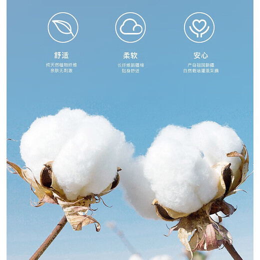 【万单爆款】精梳棉纯棉秋衣秋裤纯棉套装圆领棉毛衫打底保暖内衣 女士套装-珍珠白2019 XL 120-140斤