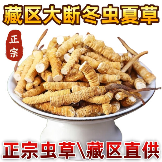 [Authentic Cordyceps] Big Broken Grass Authentic Cordyceps Summer Grass Cordyceps Broken Grass Cordyceps Broken Grass Fed tonic for self-nourishing Cordyceps Tibetan Pure Meat Cordyceps Cordyceps 20 grams Get 1 gram [Total 21 grams]
