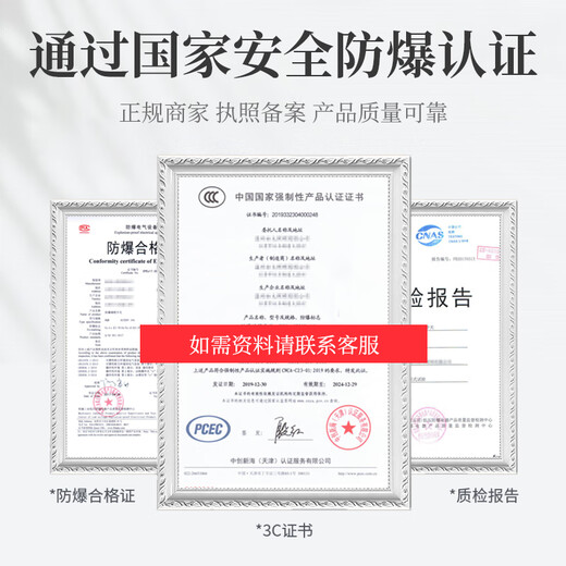 SD ZM explosion-proof switch explosion-proof wall switch ExdeIICT6Gb explosion-proof lighting 220V10A two switches