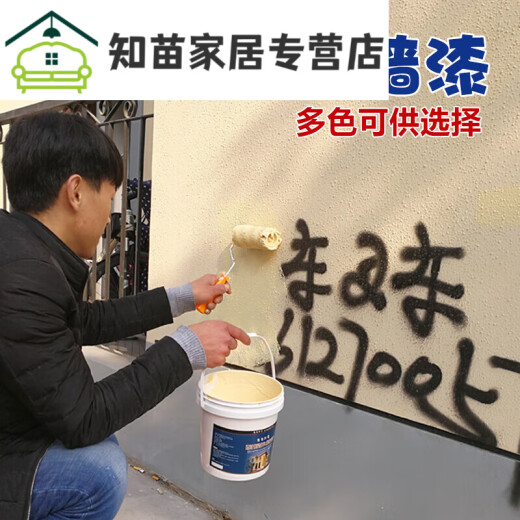 Zekaiwei exterior wall paint waterproof beige villa spray bathroom wall self-brushing special latex exterior wall paint [linen color] 2L