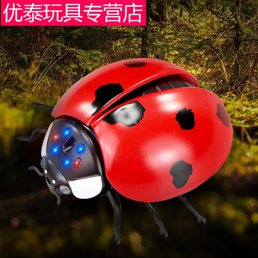 电动遥控瓢虫玩具儿童网红仿真整蛊感应会动昆虫爬虫动物男孩女孩 遥控瓢虫红色9922+螺丝刀