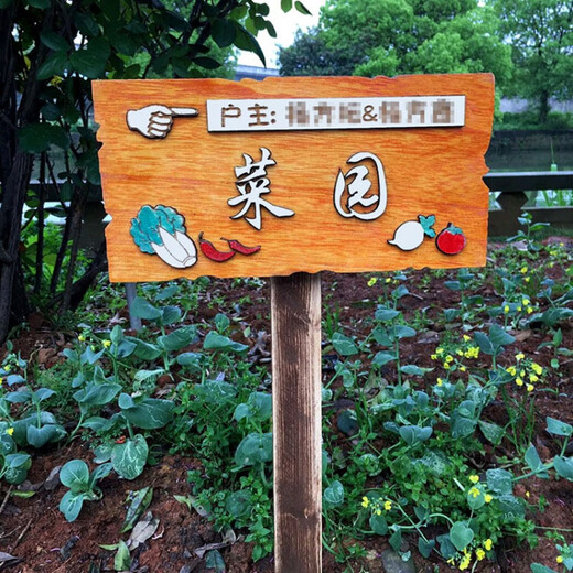 Xunliba flower and grass sign prompt sign class vegetable garden sign erected park kindergarten vegetable garden ground sign customization 24*12 cm (including pole 50 cm)